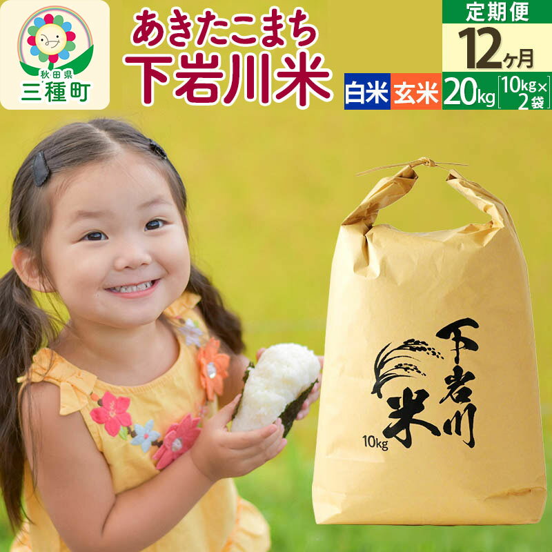 【ふるさと納税】【R8年新米予約】 《12ヶ月定期便》【白米／玄米】あきたこまち 20kg (10kg×2袋) 秋田県三種町産 令和8年産 下岩川米
