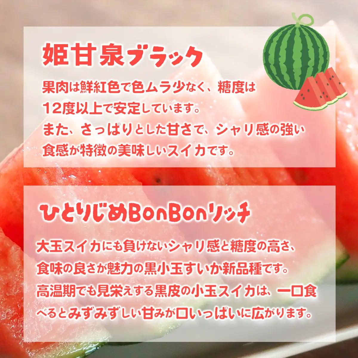 スイカ 黒皮 小玉スイカ 姫甘泉ブラック ひとりじめBonBonリッチ 1箱 2玉