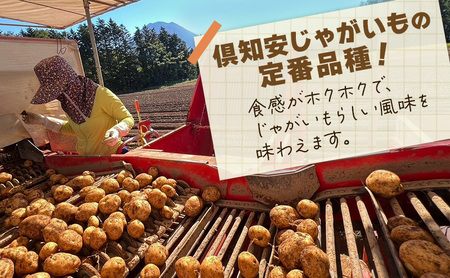 【ふるなびWEEK対象】【 訳アリ 】 馬鈴薯 約 10kg 男爵 リストファーム サイズ 混合 馬鈴薯 芋 ポテト イモ 産地直送 野菜 FN-Limited