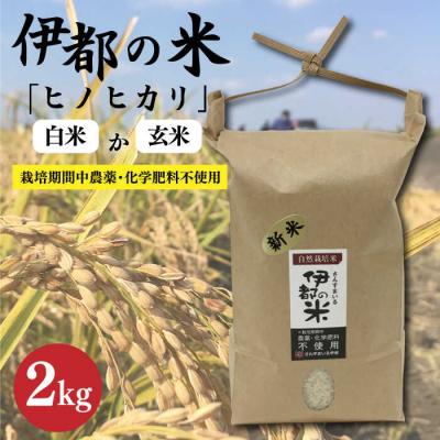ふるさと納税 糸島市 【令和7年産】伊都の米(ヒノヒカリ)2kg 糸島市/伊都福祉サービス協会[APL001] | 