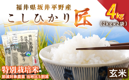 令和7年産 特別栽培米 コシヒカリ匠 4kg（2kg×2袋） 節減対象農薬当地比5割減【玄米】お米 コシヒカリ [A-2992_02]