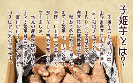 やまがた伝統野菜 「子姫芋（里芋）」5kg 《土付き》 山形県産 令和7年産 【2025年11月中旬頃から順次発送予定】　018-B-MM038