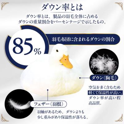 ふるさと納税 糸島市 【糸島羽毛ふとん訳あり】羽毛布団柄おまかせダウン85%【ダブル】[AYM005 |  | 02