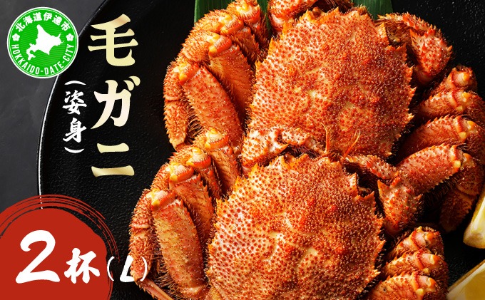 毛ガニ（姿身）Lサイズ 2尾 ogm-018