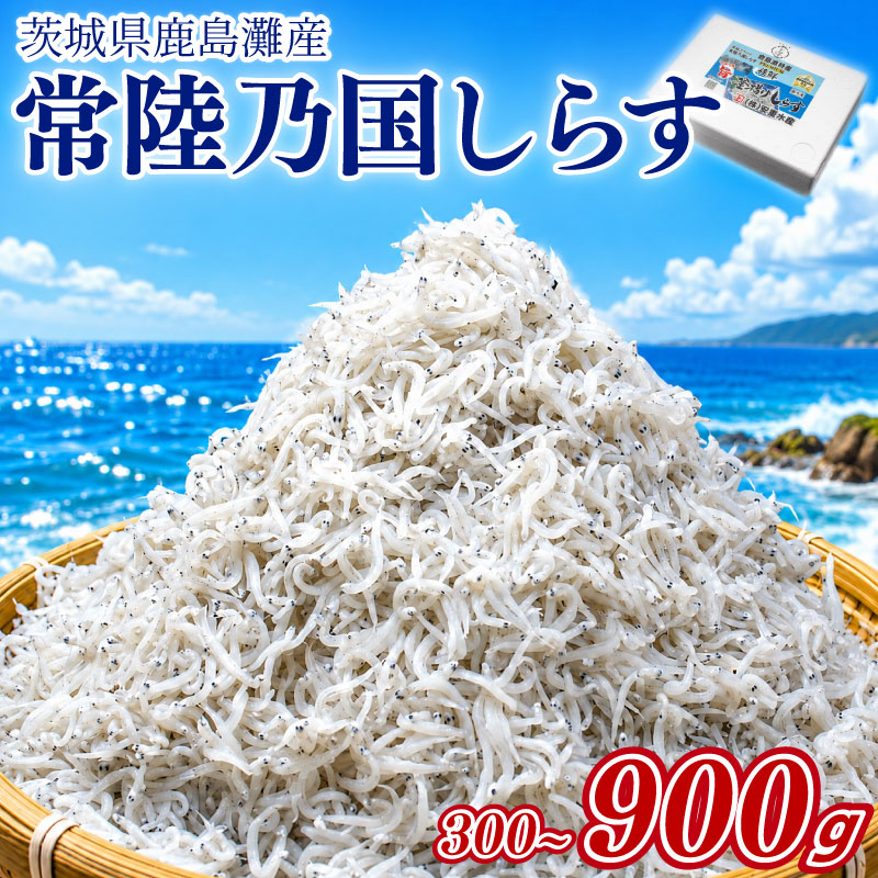 【ふるさと納税】 しらす 鹿島灘 釜揚げしらす 「常陸乃国しらす」 合計300～900g 選べる容量 新鮮 ふっくら 新ブランド 最高級品 塩分控えめ カルシウム ビタミンD ギフト 海鮮 魚介類 魚貝 冷凍 人気 美味しい 健康 惣菜 おかず こだわり 厳選 ふるさと納税 茨城県 鹿嶋市