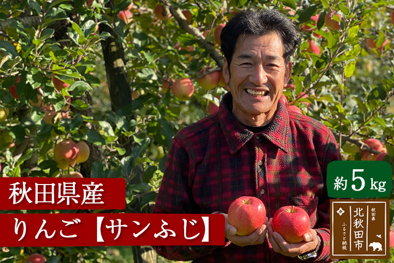 秋田県産 サンふじ りんご 約5kg （ご家庭用）リンゴ【12月中旬～2月中旬に順次発送】 [りんご 林檎 リンゴ 国産 果物 フルーツ]|ymdn-010501