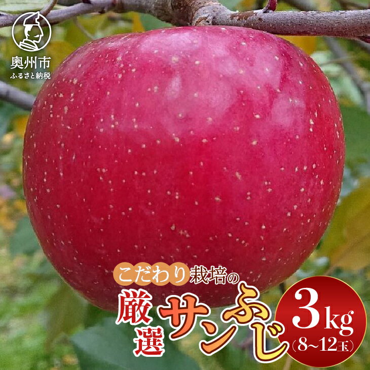 【ふるさと納税】スターファーム こだわり栽培の サンふじ 厳選品 3kg 岩手県 奥州市産りんご 産地直送 りんご 林檎 フルーツ 果物 期間限定 家庭用 自宅用 [AY004]