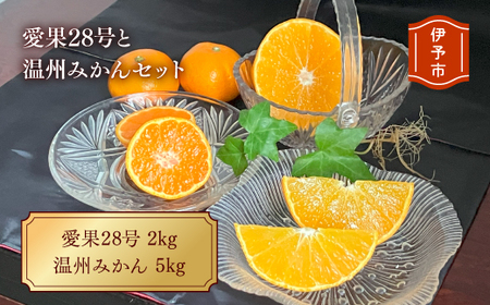 愛果28号と温州みかんのセット 小玉マルチ 年内配送 人気 数量限定 みかん 愛媛 柑橘 伊予市 【2025年12月上旬から順次発送予定】｜B163