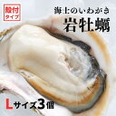 【ふるさと納税】【いわがき 殻付き Lサイズ 3個】 岩牡蠣 生食可 冷凍 牡蛎 牡蠣 かき カキ 岩牡蠣 いわがき 冷凍 お歳暮