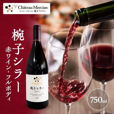ふるさと納税 上田市 椀子シラー 750ml シャトー・メルシャン シラー 赤ワイン[54040420]