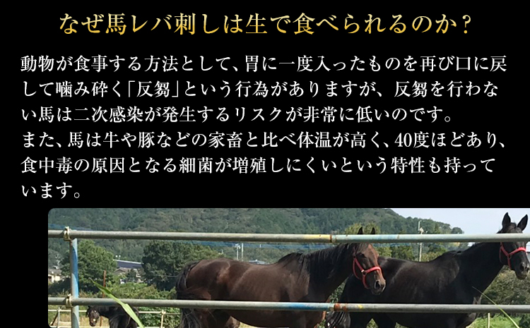 馬レバ刺し150g 50g×3《30日以内に出荷予定(土日祝除く)》レバー 冷凍 熊本肥育 肉 絶品 牛肉よりヘルシー 馬肉 小分け