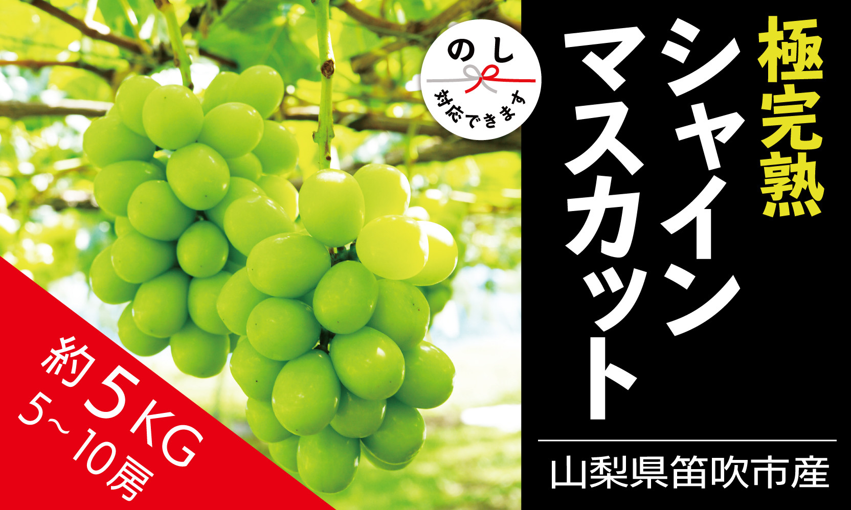
＜2024年発送＞☆絶品☆ シャインマスカット 5-10房約5.0kg 090-006 ｜シャインマスカット 発送 丸章青果 笛吹市 山梨県 フルーツ 果物 ぶどう 葡萄 シャインマスカット おすすめ シャインマスカット 贈答 ギフト 産地 笛吹市 シャインマスカット 笛吹 葡萄 国産 ぶどう 人気 国産 5.0kg デザート 甘い ランキング 5キロ 5kg｜
