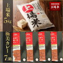 【ふるさと納税】【予約受付】上場米こしひかり5kg・極美カレー7箱セット（2024年9月～順次配送）