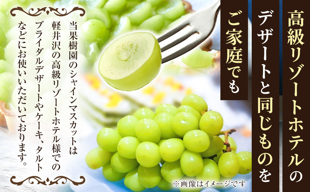 熊原果樹園　【訳あり】長野市シャインマスカット　約2kg（3房） | シャインマスカット ぶどう 葡萄 フルーツ 果物 大粒 秀品 長野市産  松代 人気 おすすめ デザート 送料無料 長野県 長野市 信州 信濃 ふるさと納税