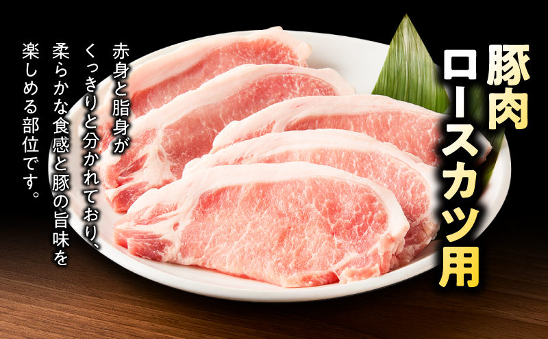 鹿児島県産豚肉ロースカツ用 3.2kg セット　KN165-009