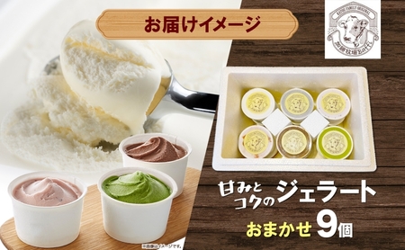【彩の国優良ブランド】加藤牧場 ノンホモ低温殺菌牛乳を使用した甘みとコクが感じられるジェラート9個セット