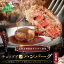 【ふるさと納税】【 年6回 ハンバーグ 定期便 6ヶ月 連続 定期 】「 別海 牛 チョップドイン はんばーぐ 100g×9個 」× 6回 配送（ ふるさと納税 ハンバーグ 訳あり ハンバーグ ふるさと納税 訳あり 牛100% 牛肉100% 牛肉 牛 肉 北海道 国産 6 6ケ月 6ヵ月 6カ月 6か月 ）