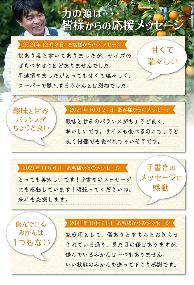 温州みかん 3kg S・M・Lサイズのいずれか【和歌山のみかん】11月～1月に和歌山鈴木農園より農園直送 温州ミカン 温州 下津みかん しもつみかん ミカン 蜜柑　mikan Sサイズ Mサイズ