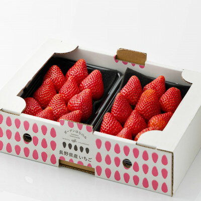 【ふるさと納税】長野県産いちご 計560g【配送不可地域：離島・北海道・沖縄県】【1692045】