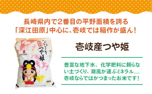 お米 白米 米 白米 ごはん 美味しい おいしい