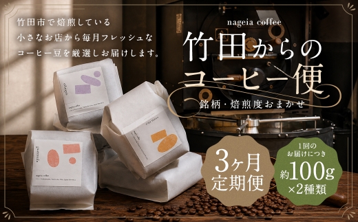【 3ヶ月定期便 】 竹田からのコーヒー便 約100g × 2種類 （ 銘柄 ・ 焙煎度おまかせ ）