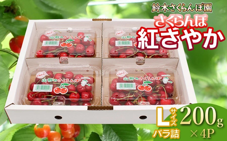 【令和8年産先行予約】 さくらんぼ 紅さやか Lサイズ フードパック 800g（200g×4p） 山形県鶴岡産　鈴木さくらんぼ園