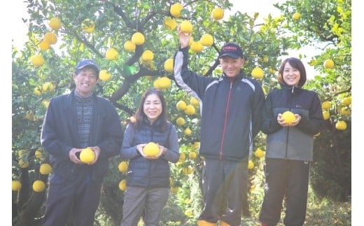浜田農園の土佐文旦5kg家庭用