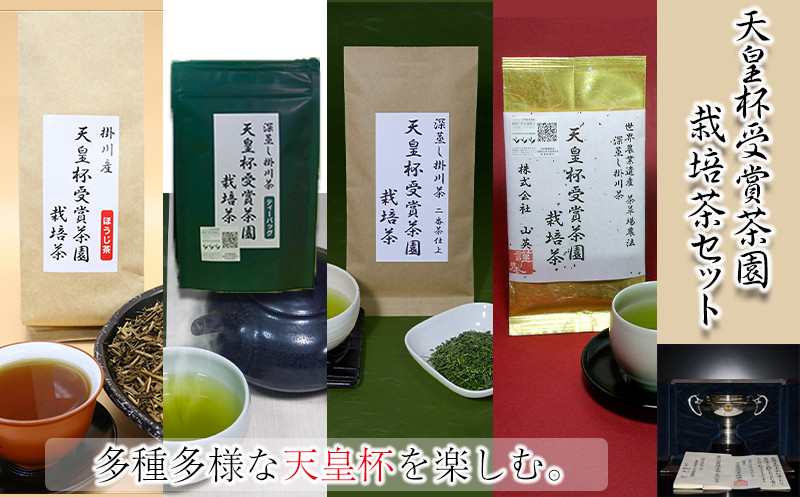 
１９５６　天皇杯受賞茶園栽培茶　４種９袋セット（ 深蒸し掛川茶 ）山英　
