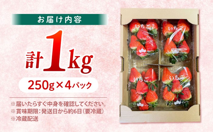 いちご 1kg