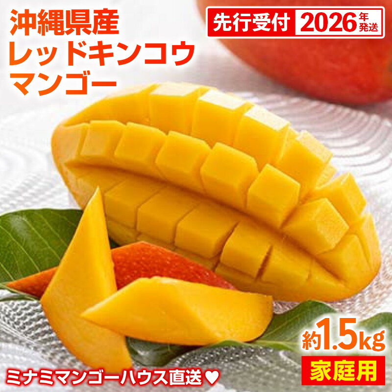 【ふるさと納税】【先行受付】【2026年発送】ミナミマンゴーハウスの赤金煌(レッドキンコウ）マンゴー 家庭用 約1.5kg - 先行予約 沖縄県産 産地直送 南国フルーツ 旬の味覚 ご自宅用 オススメ 沖縄県 八重瀬町