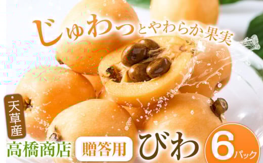 天草産 びわ 約 2.4kg （約400g×6パック） 贈答用 フルーツ 果物 くだもの びわ ビワ 枇杷 熊本県 苓北町 高橋商店《5月中旬-6月中旬頃出荷予定》