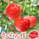 【ふるさと納税】【令和7年分 先行予約】福島県 大玉村産さくらんぼ(正光錦、佐藤錦)　 ※6月上旬以降順次発送 ｜ サクランボ 旬 果物 果実 くだもの｜