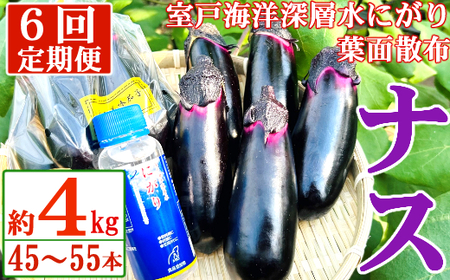 【定期便6回発送】農家直送　土佐の美味茄子の新鮮ナス　４kg　（室戸海洋深層水にがり使用） 野菜 なす ナス 常温 小袋 国産 夏野菜 茄子 小分け 旬 54000円 高知 bn017