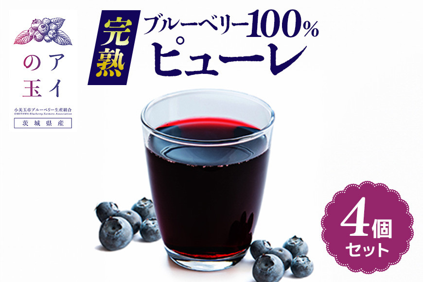 
            【アイの玉】完熟ブルーベリー100％ピューレ（4個セット） ピューレ ブルーベリー フルーツ 果物 くだもの ソース 手作り 無糖 砂糖不使用 ダイエット ヘルシー  国産 73-F
          