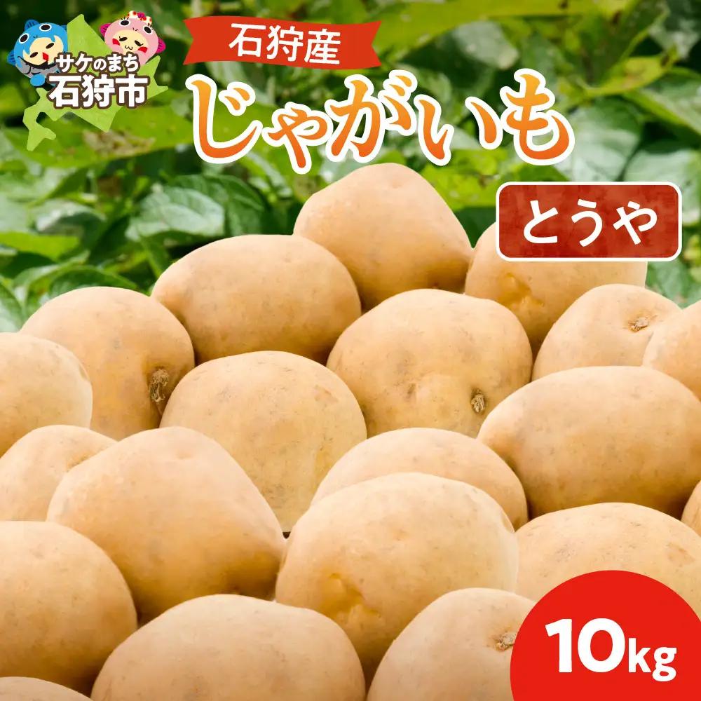 石狩産じゃがいも（とうや） 10kg【9月発送】｜ふるさと納税  北海道産 じゃがいも 野菜 北海道 石狩市