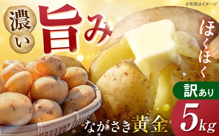 
                  [訳あり]南串産ながさき黄金5kg(春じゃが) 長崎県/南串ながさき黄金生産組合 [42ALAJ002]
                