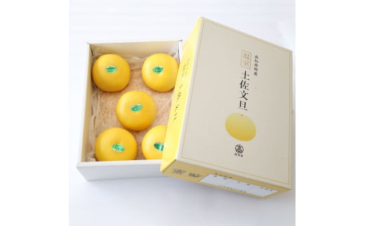 【先行予約】厳選 温室土佐文旦 3kg (5～6玉）〈2026年11月下旬から発送〉/文旦 ぶんたん ブンタン 土佐文旦 ハウス栽培 甘い 柑橘 フルーツ 果物 ご当地 お取り寄せ【土佐文旦の藤岡】 