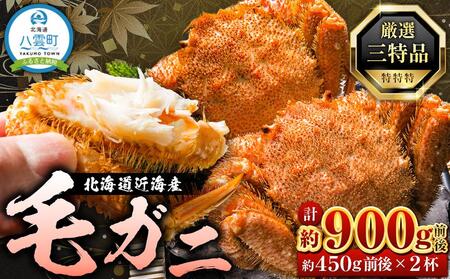 先行予約【厳選三特品】北海道近海産毛ガニ 450g前後×2尾 2025年9月上旬発送開始予定 | 毛ガニ