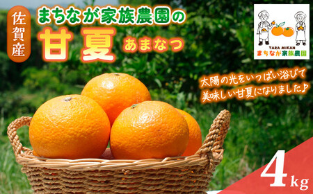 まちなが家族農園の甘夏 4kg 【2026年4月下旬～5月下旬まで順次発送予定】 国産 みかん ミカン 蜜柑 柑橘 あまなつ 甘夏 フルーツ くだもの 果物 お取り寄せ 贈り物 ギフト 佐賀県 太良町 LB1x1