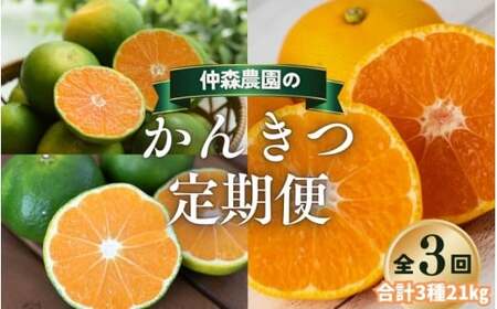 【全3回】仲森農園の柑橘定期便 合計3種 21kg 【超極早生温州「みえ紀南一号」・極早生温州・早生温州「完熟熊野みかん」】【nkmr-tkb0017】