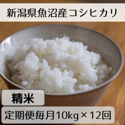 ふるさと納税 十日町市 【毎月定期便】新潟県魚沼産コシヒカリ「山清水米」精米10kg全12回