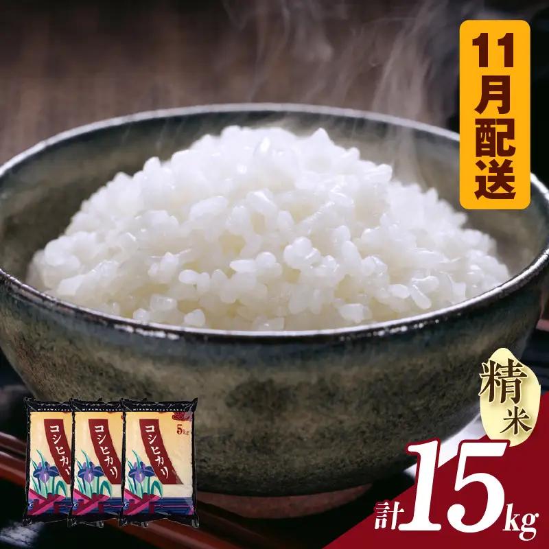【令和８年産 先行予約】コシヒカリ（精米）15kg（11月発送）（3573）