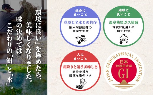 くまもとあか牛 モモ薄切り 600g