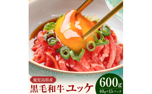 鹿児島県産黒毛和牛ユッケ 600g 40g×15パック 株式会社カミチク《90日以内に出荷予定(土日祝除く)》鹿児島県 さつま町 鹿児島県産 黒毛和牛 ユッケ 生食用 小分け タレ付き