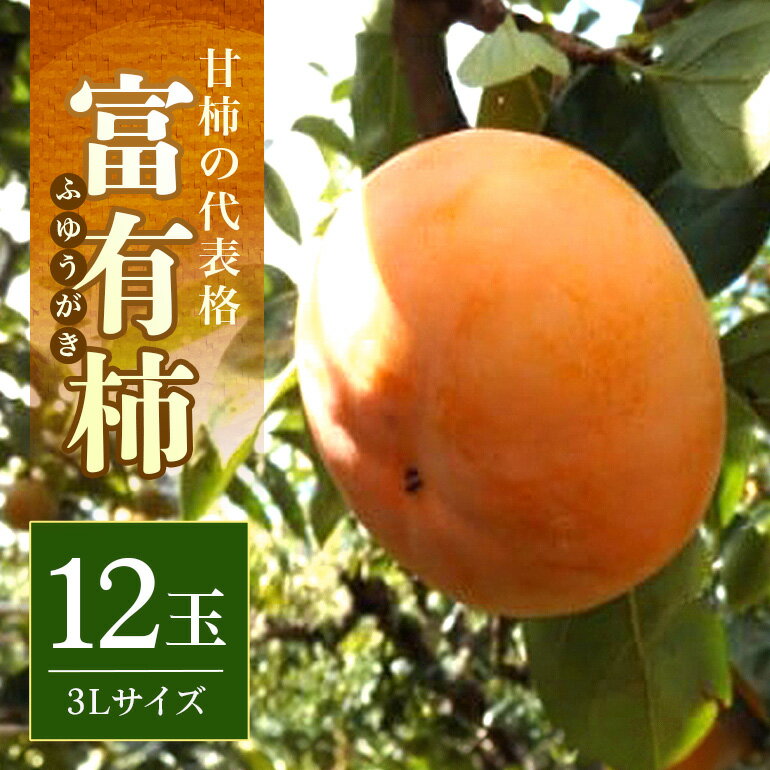 【ふるさと納税】【2025年 先行予約】 富有柿 3L 24玉（三浦果樹園）柿 甘い柿 大玉 かき 富有カキ 甘い 果物 フルーツ くだもの カキ 富有かき 秋 旬 甘柿 糖度 贈答用 贈答品 ギフト 贈り物 品種 11月 発送 産地直送 農家直送 産直 茨城県 石岡市 送料無料 (A16-004)