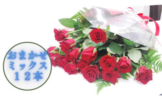 【生産者直送】バラの花束（花色おまかせミックス12本程度）長さ60㎝未満　薔薇 花束 プレゼント 記念日 フラワーアレンジメント