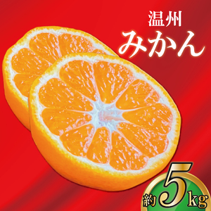 極撰 温州みかん 約5kg 【2026年11月上旬より順次発送】