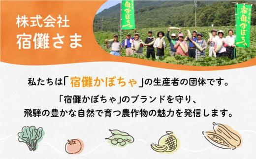 一級品 飛騨 トマト 4kg 箱入り とまと 大玉トマト サイズお任せ 産地直送 野菜 やさい 期間限定 飛騨高山 宿儺さま KA008