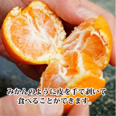 2026年4月発送開始　甘みが強くて濃厚な味わい初夏のみかん「なつみ」約3kg  【C39−57】【配送不可地域：離島】【1491395】