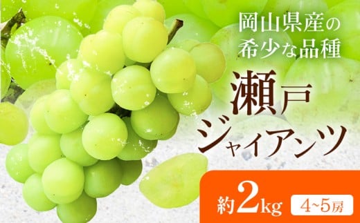 【2026年先行予約】瀬戸ジャイアンツ 約2kg(4-5房) Kazu Farm《2026年10月中旬-11月上旬頃出荷》 岡山県 浅口市 岡山県産 ぶどう フルーツ 果物 くだもの 送料無料